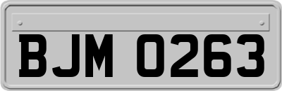 BJM0263