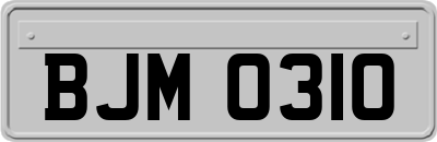 BJM0310