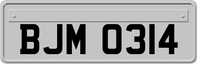 BJM0314