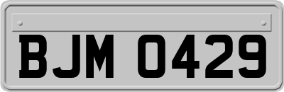 BJM0429