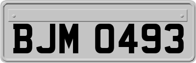BJM0493