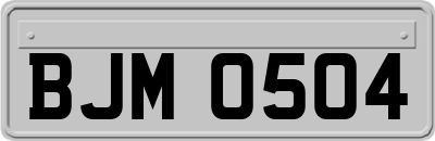 BJM0504