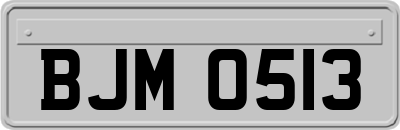 BJM0513