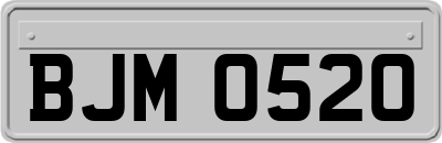 BJM0520
