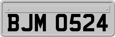 BJM0524