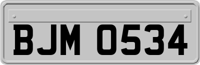 BJM0534