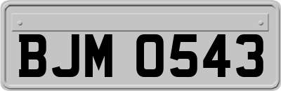 BJM0543