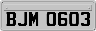 BJM0603
