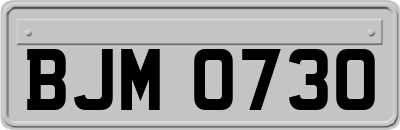 BJM0730