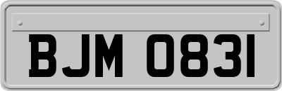 BJM0831