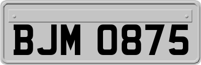 BJM0875