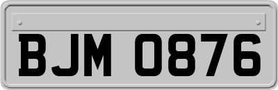 BJM0876