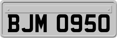 BJM0950