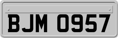 BJM0957