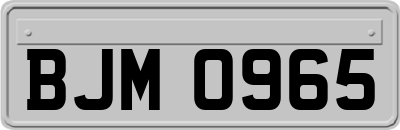 BJM0965