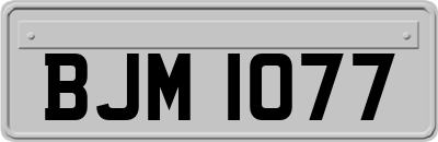 BJM1077