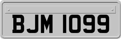 BJM1099