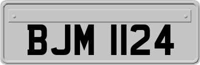 BJM1124
