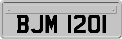 BJM1201