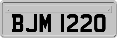 BJM1220