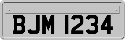 BJM1234
