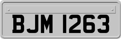 BJM1263