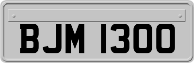 BJM1300