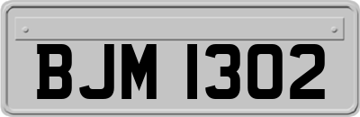 BJM1302