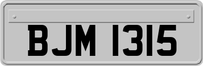 BJM1315