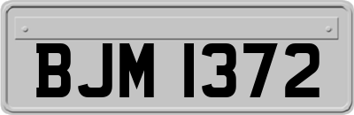 BJM1372