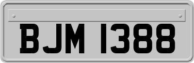 BJM1388