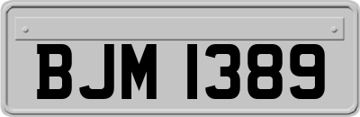 BJM1389