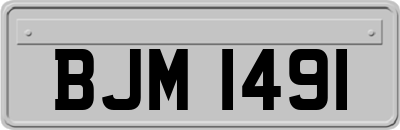 BJM1491