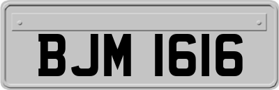 BJM1616