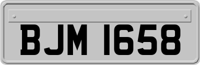 BJM1658