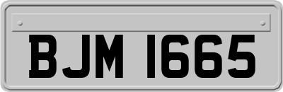 BJM1665