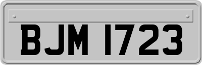 BJM1723