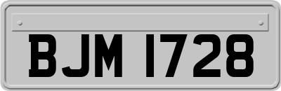 BJM1728