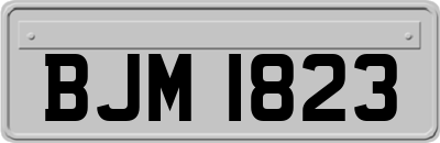 BJM1823