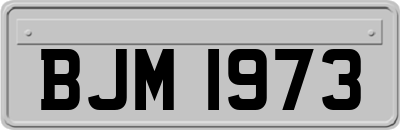BJM1973
