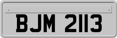 BJM2113