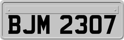 BJM2307