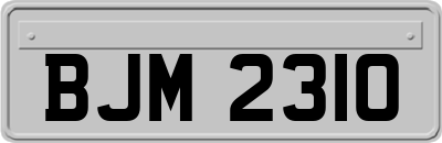 BJM2310