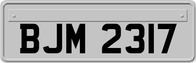 BJM2317