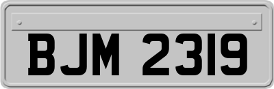 BJM2319