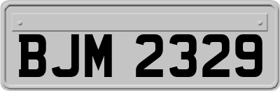 BJM2329