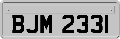 BJM2331