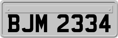 BJM2334