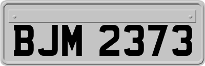 BJM2373