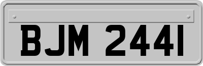 BJM2441